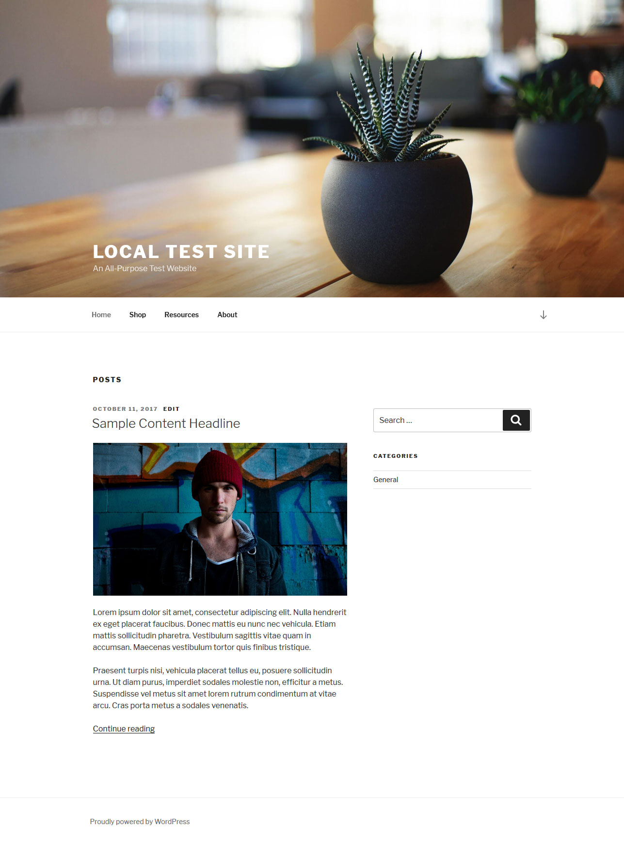 wordpress-child-theme-with-parent-styles-nick-sch-ferhoff