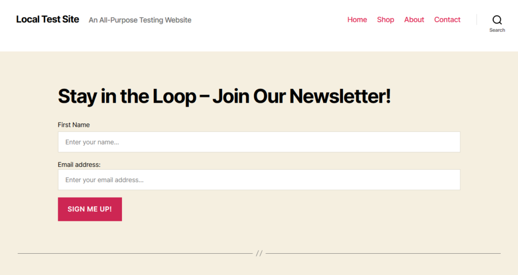 newsletter sign up form in new widget area