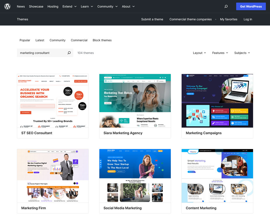 wordpress themes example