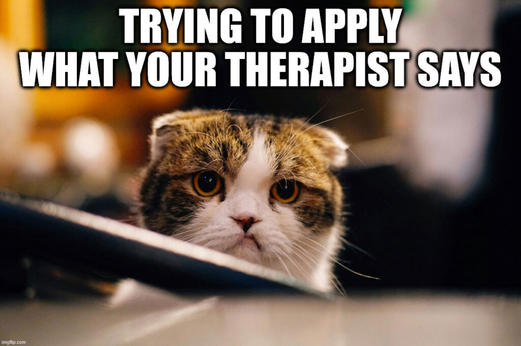 trying to apply what your therapist says meme